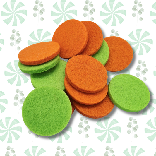 Peppermint & Eucalyptus Hoover Discs