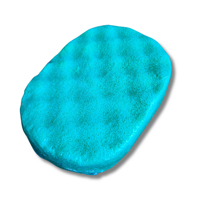 Lenora Frosted Euclapytus Exfoliating Soap Sponge